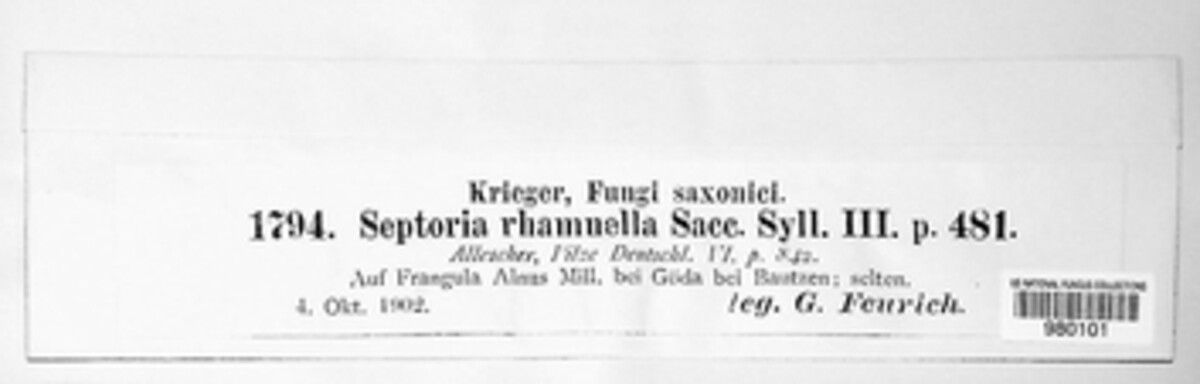 Septoria rhamnella image